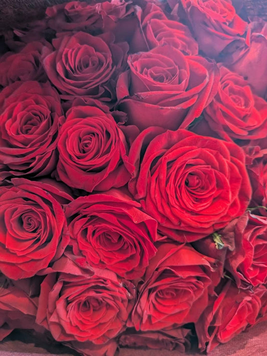 赤バラ108本花束　オープン記念送料無料（大阪府内のみ）