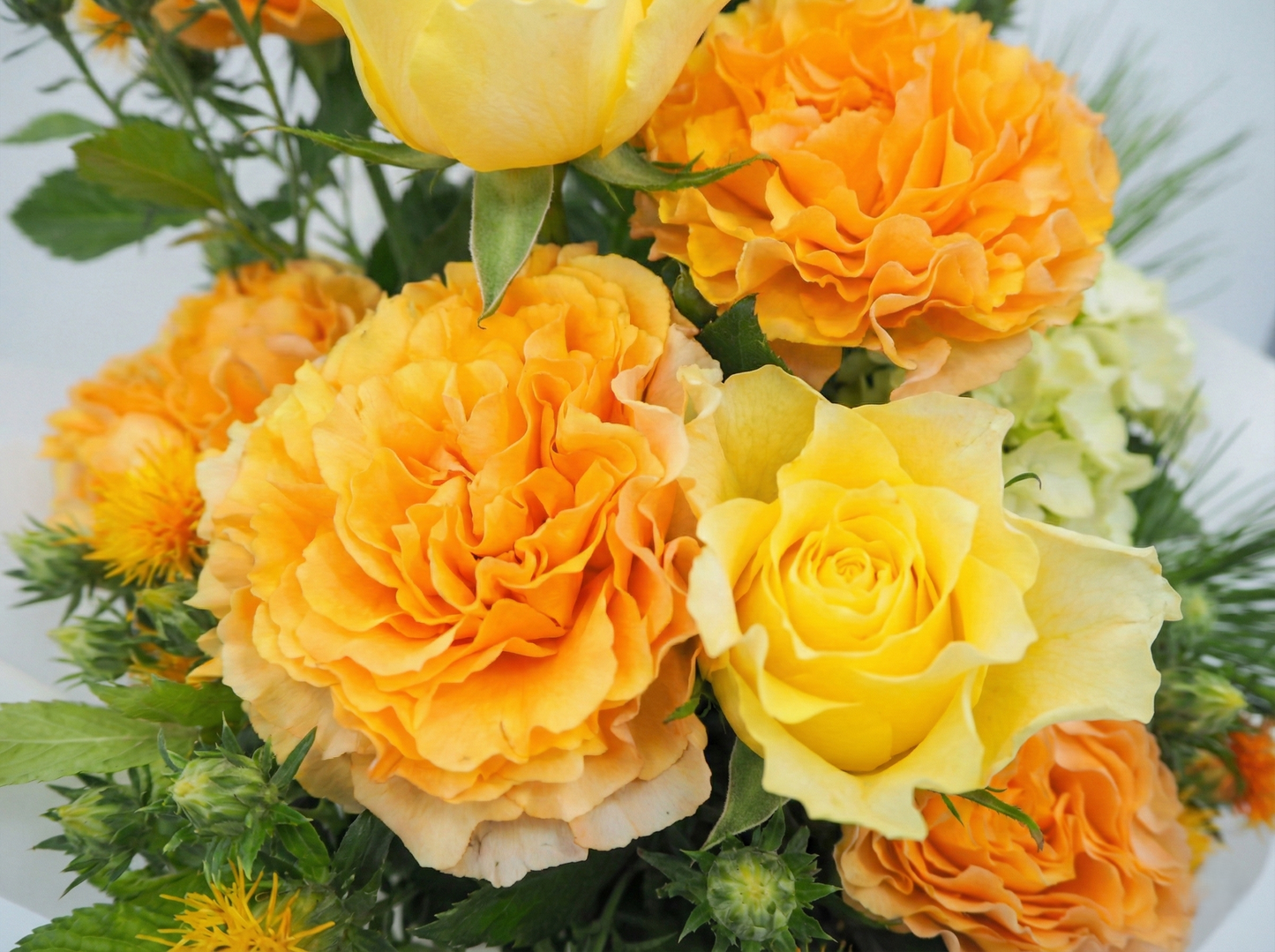 オレンジ系アレンジ