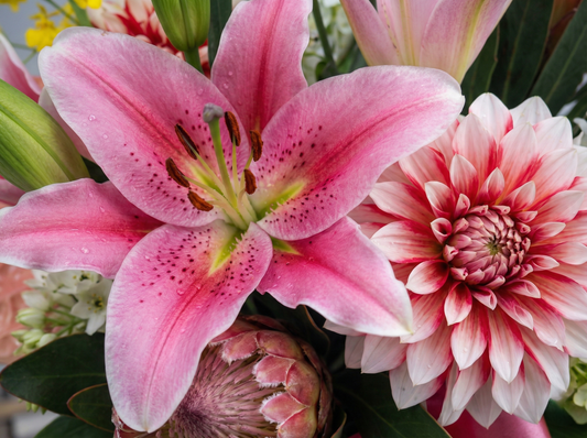 エレガントなお祝いアレンジ