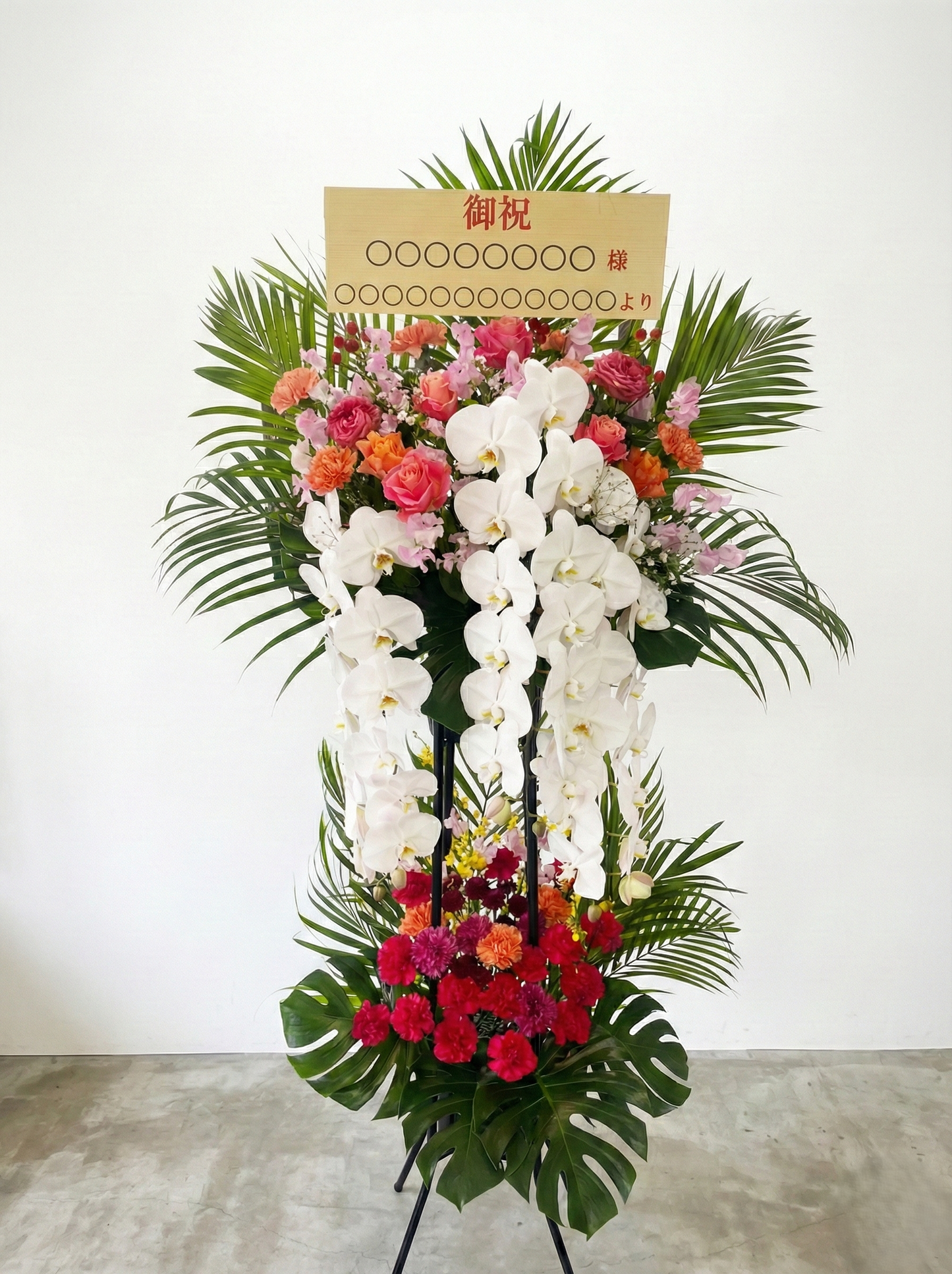 karin用スタンド 胡蝶蘭入り　オープン記念送料無料（大阪府内のみ）