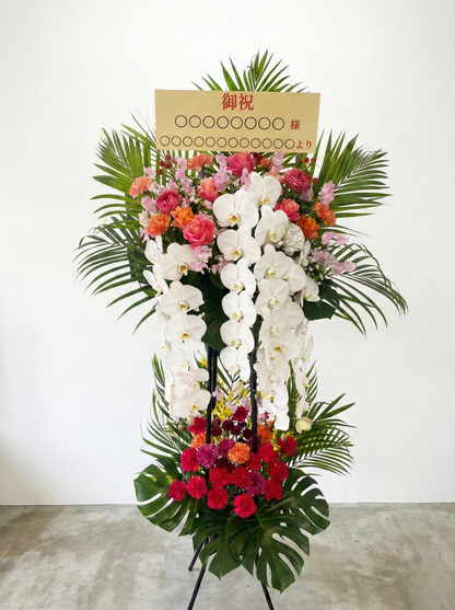 karin用スタンド 胡蝶蘭入り　オープン記念送料無料（大阪府内のみ）