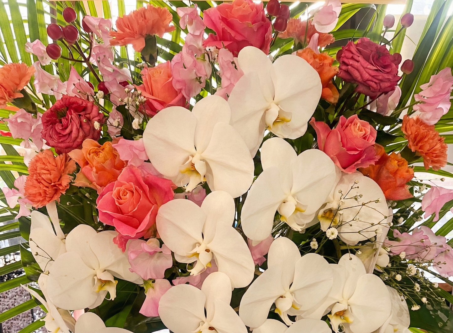 karin用スタンド 胡蝶蘭入り　オープン記念送料無料（大阪府内のみ）