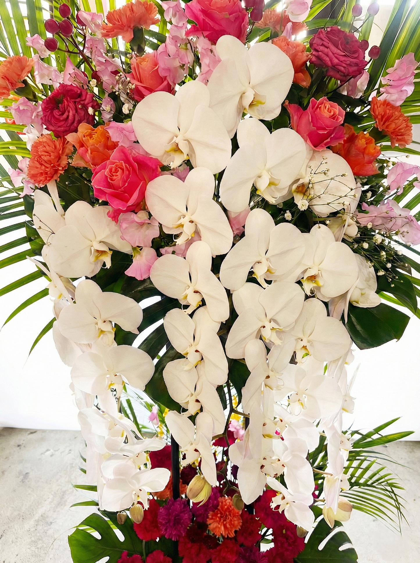 karin用スタンド 胡蝶蘭入り　オープン記念送料無料（大阪府内のみ）