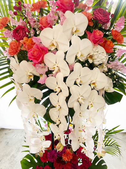 karin用スタンド 胡蝶蘭入り　オープン記念送料無料（大阪府内のみ）