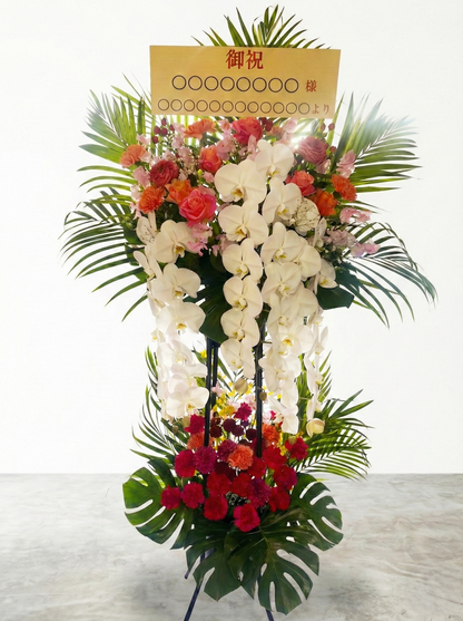 karin用スタンド 胡蝶蘭入り　オープン記念送料無料（大阪府内のみ）