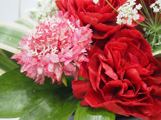 赤のアレンジメント