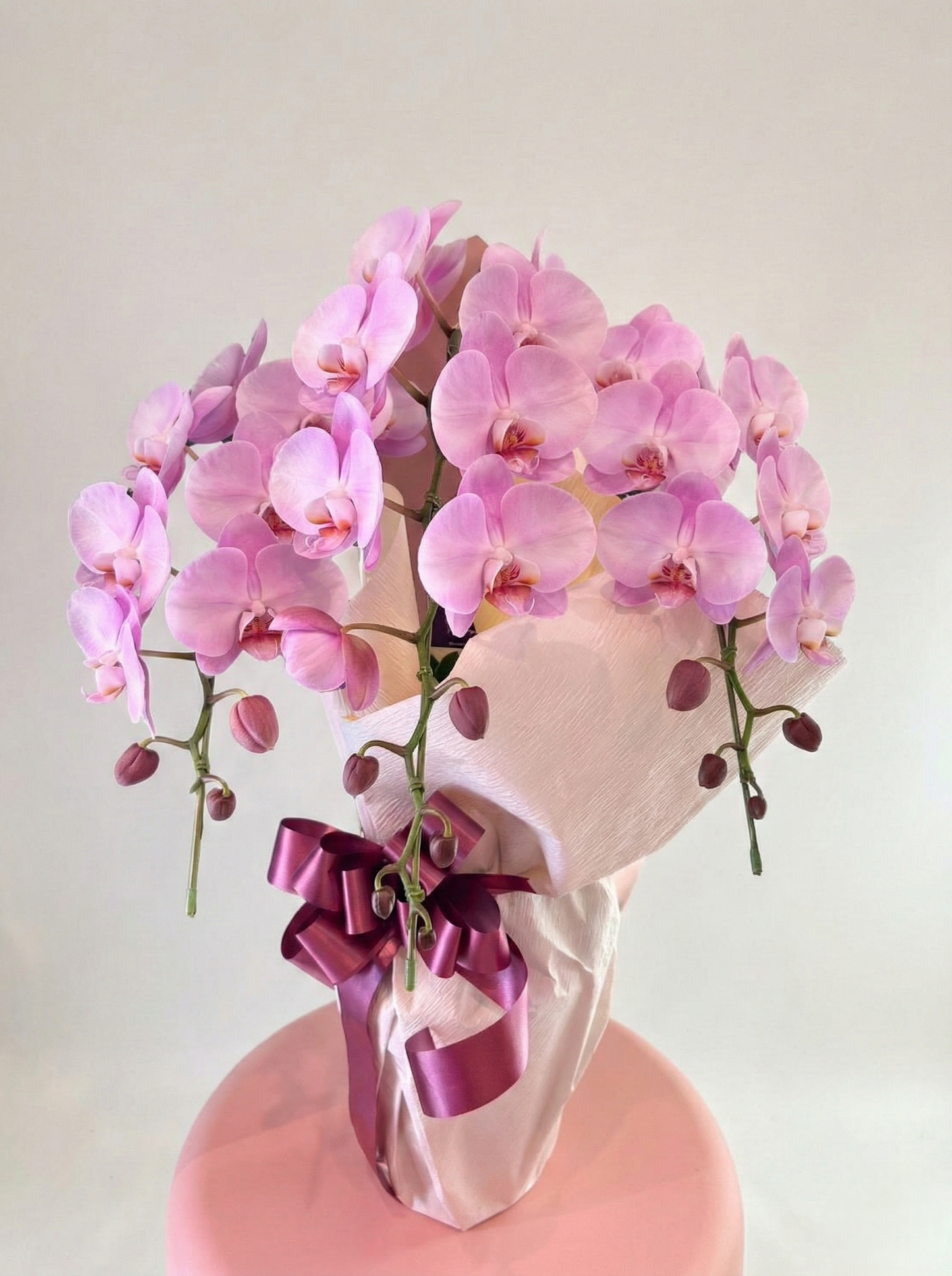 ピンクの胡蝶蘭　大輪３本立て　約30輪以上 (つぼみ込)オープン記念送料・立札無料
