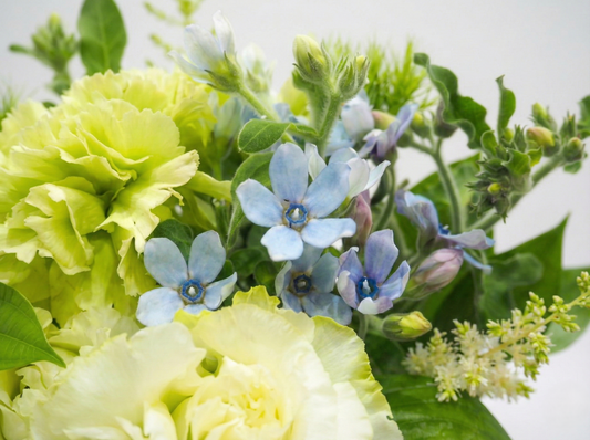 グリーン系アレンジ